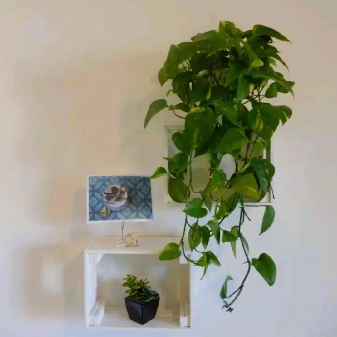 Appartement EcoBoutique house, wi-fi fiber - free car parking à Cagliari