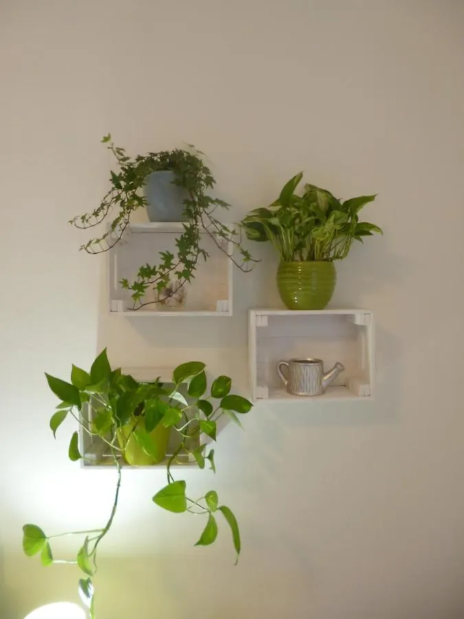 Апартаменты Ecoboutique House, Self Check-In - Free Car Parking Кальяри 0*,  Италия